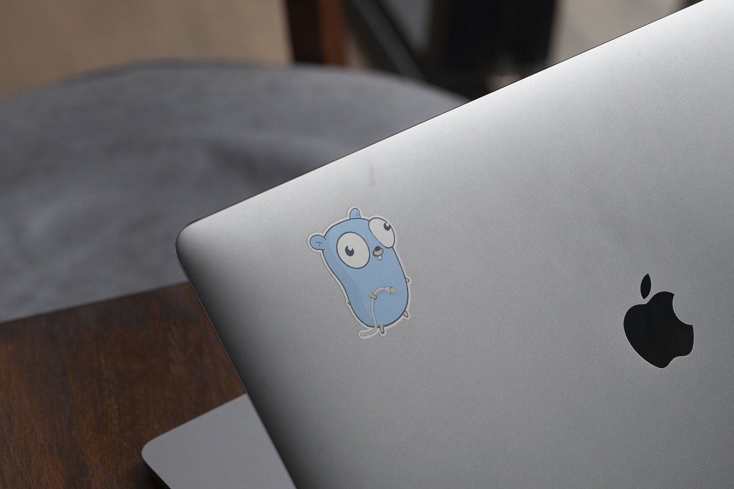 Golang Gopher Logo Network side 193