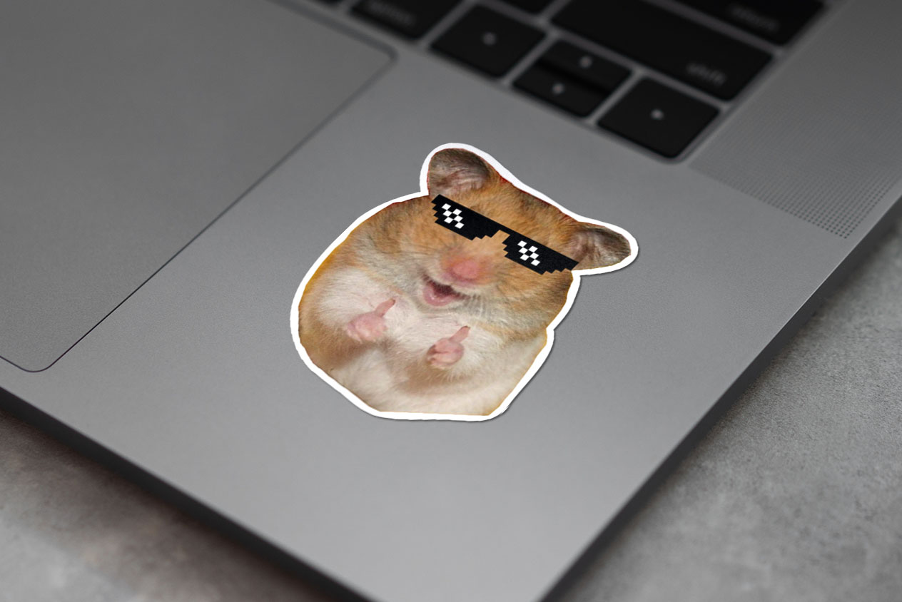 Funny  Hamster 406