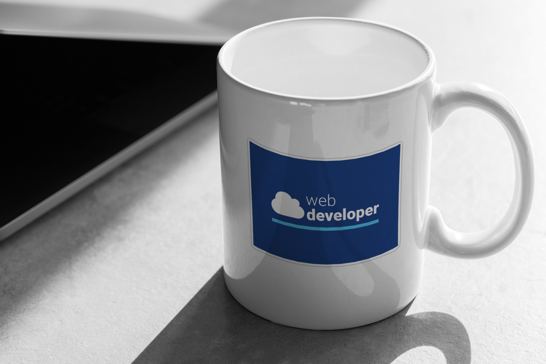 Web Developer 416