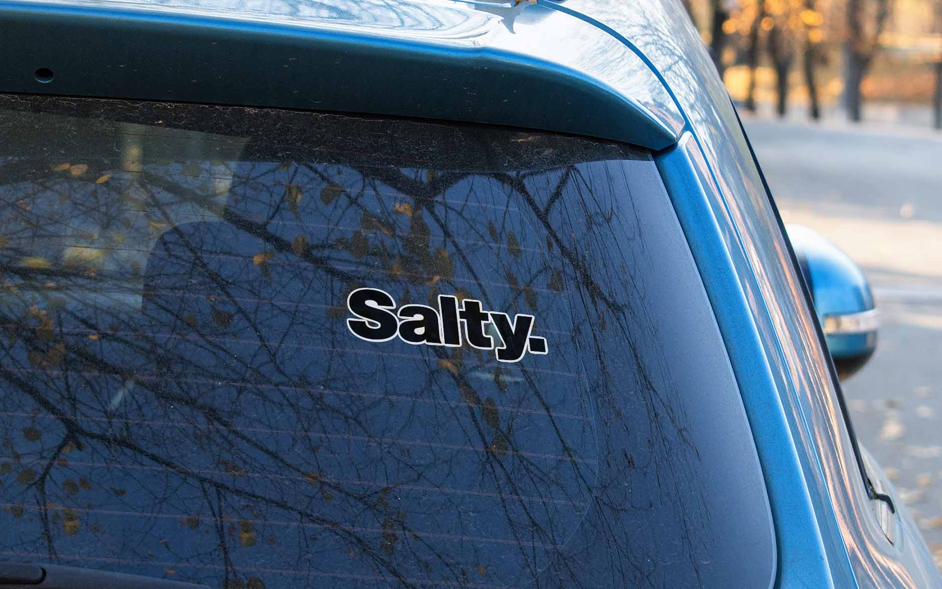 Salty 387