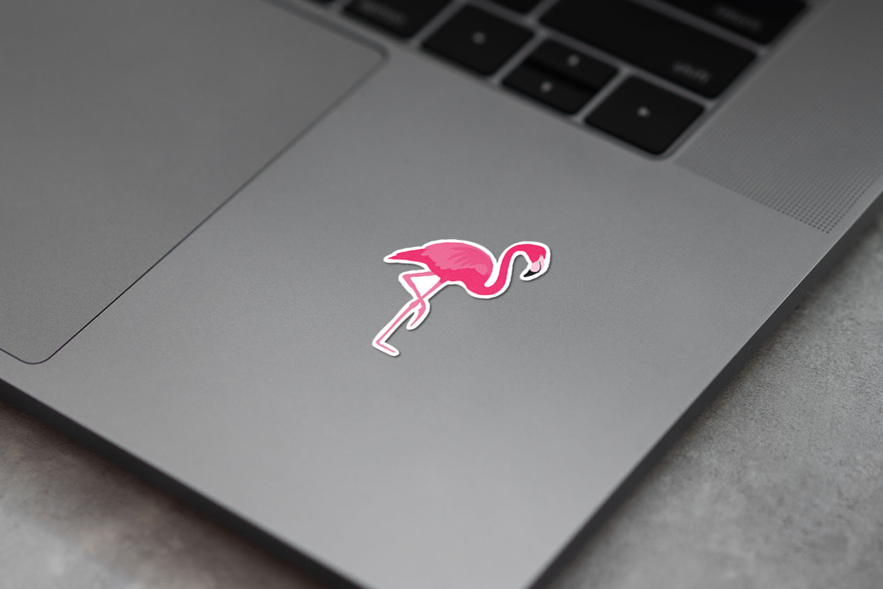 It is Flamingo Time! 375