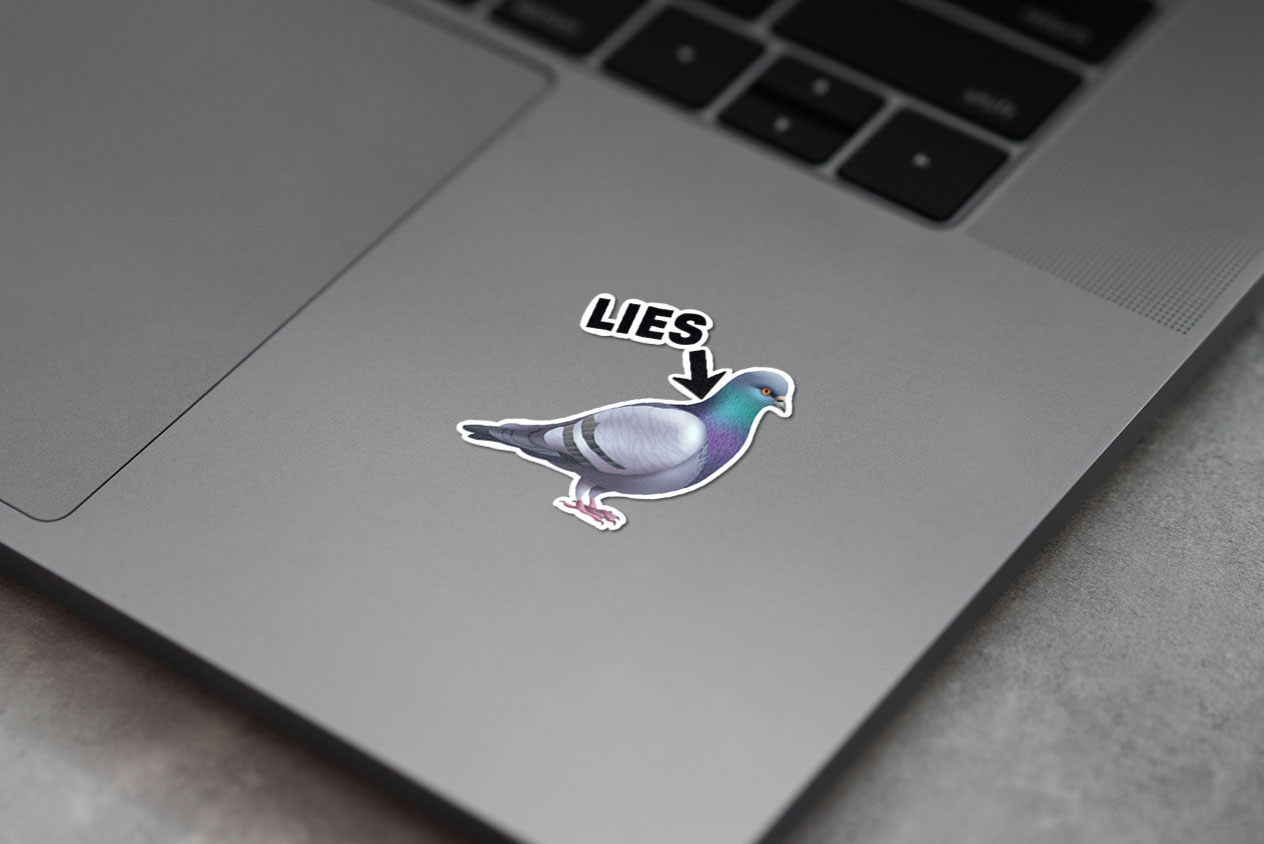 BIRDS ARE A LIE Vinyl Meme Birds and Pigeons aren’t Real 397