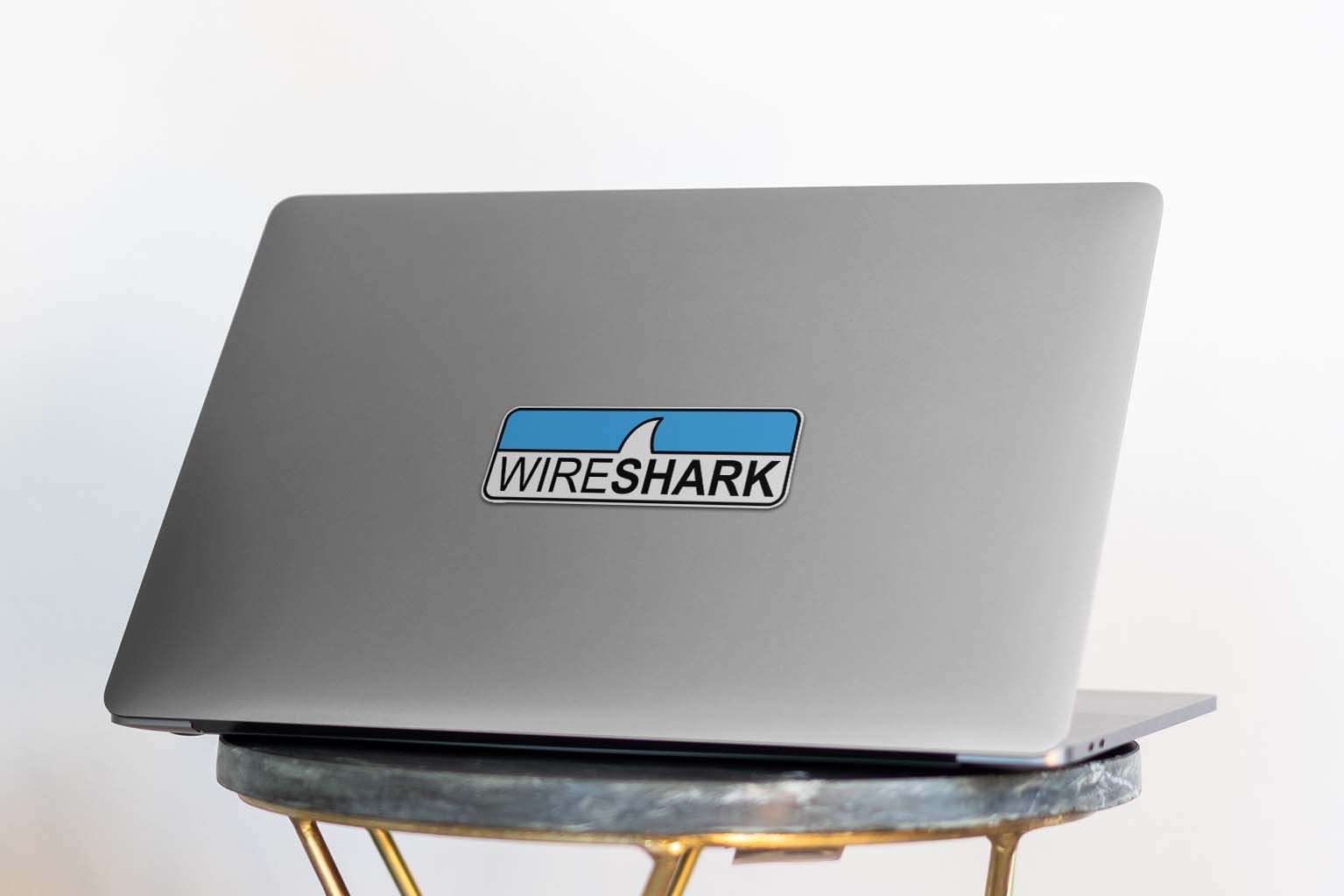 Wireshark Hi-Res Logo Horizontal 191