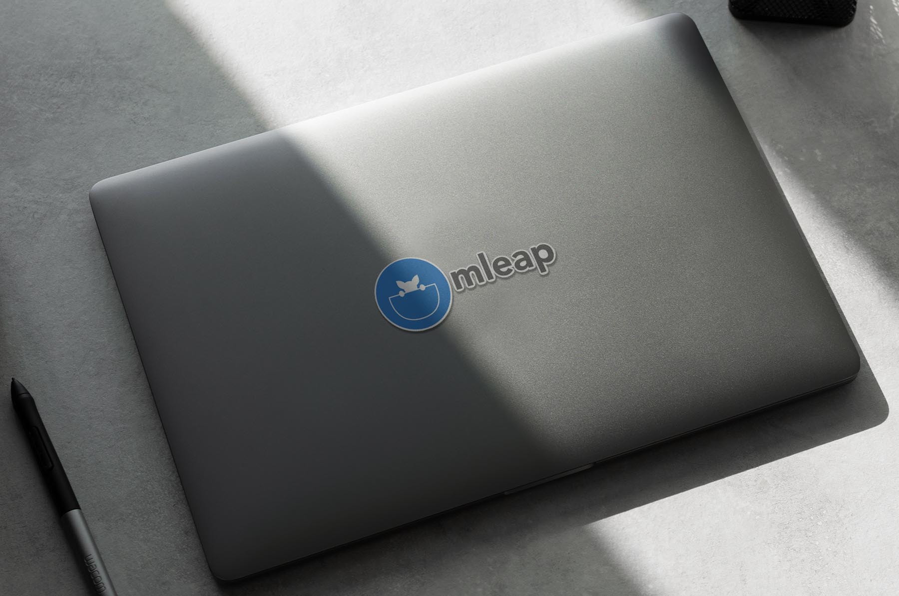 mleap logo 196